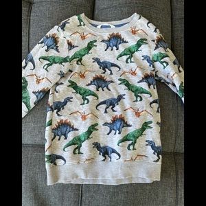 Dinosaur sweater
